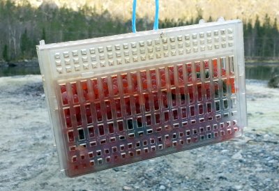 20160408_101105_rognboks_sized