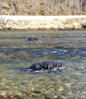 20160408_125404_planting_sized
