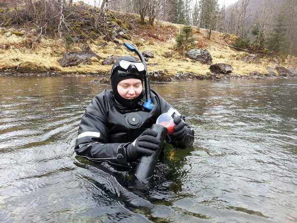 20170330_131642_planting